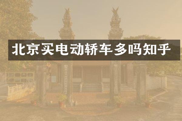 北京买电动轿车多吗知乎