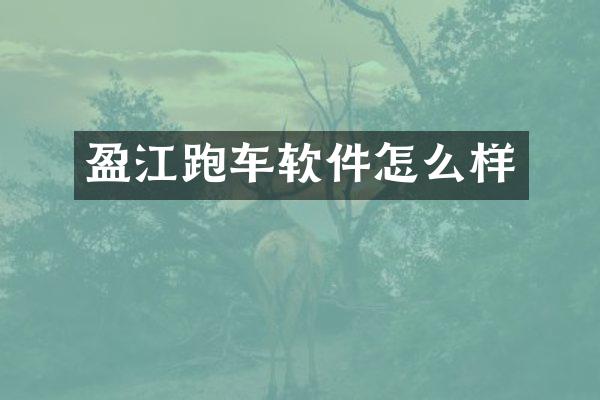 盈江跑车软件怎么样
