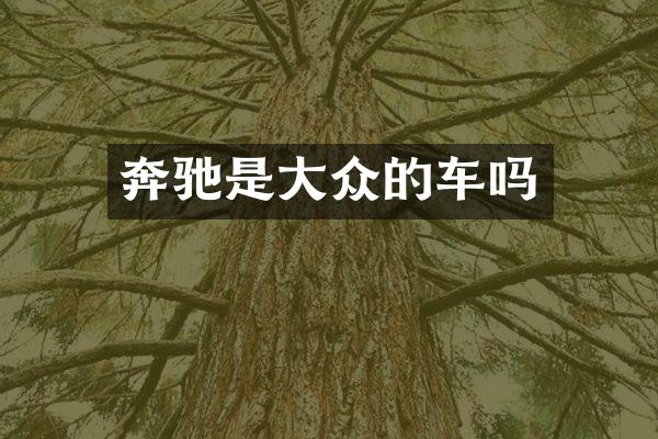 奔驰是大众的车吗