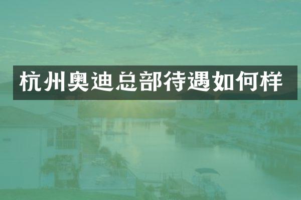 杭州奥迪总部待遇如何样