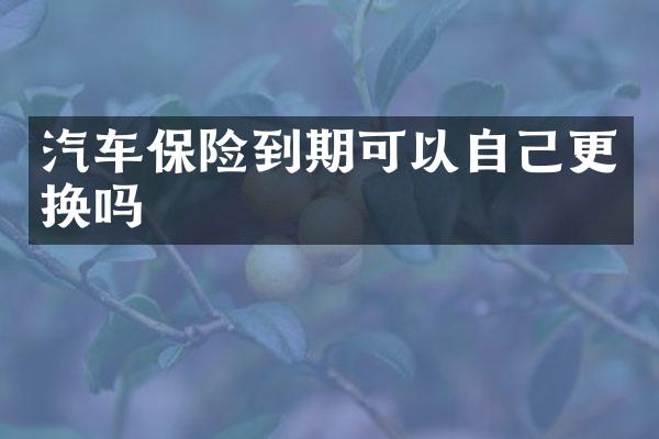 汽车保险到期可以自己更换吗