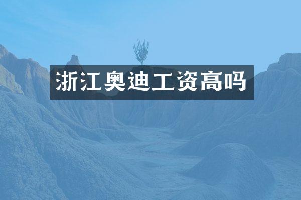 浙江奥迪工资高吗