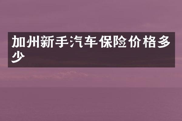 加州新手汽车保险价格多少