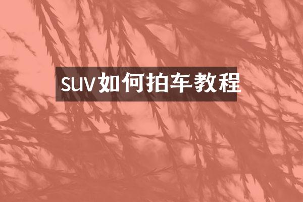 suv如何拍车教程