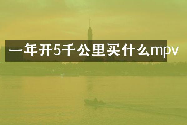 一年开5千公里买什么mpv