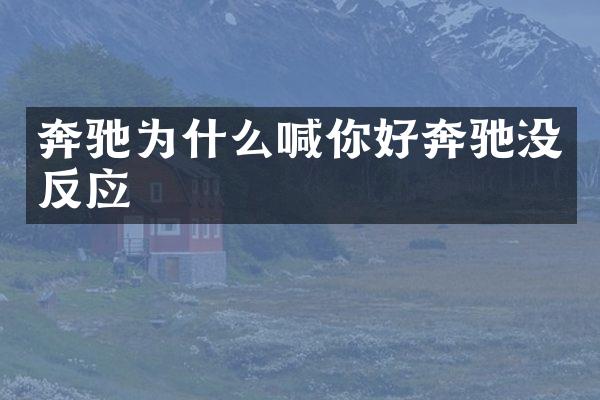 奔驰为什么喊你好奔驰没反应