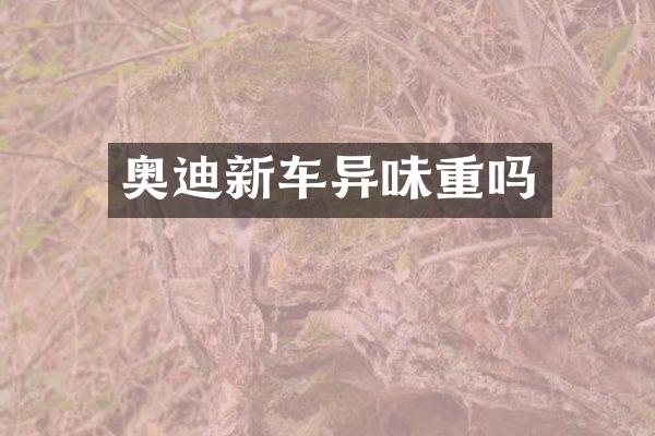 奥迪新车异味重吗