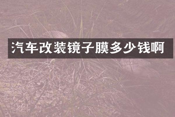 汽车改装镜子膜多少钱啊