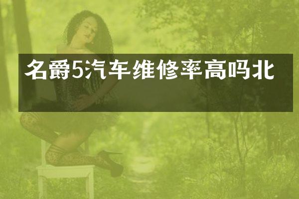名爵5汽车维修率高吗北京