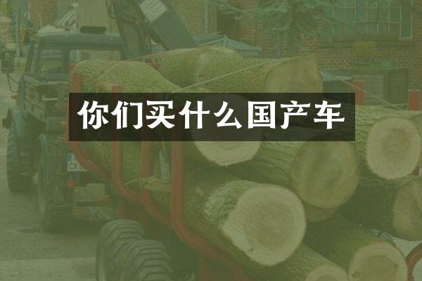 你们国产车