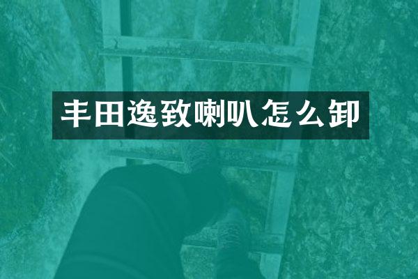 丰田逸致喇叭怎么卸