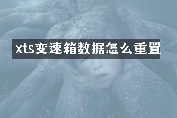 xts变速箱数据怎么重置