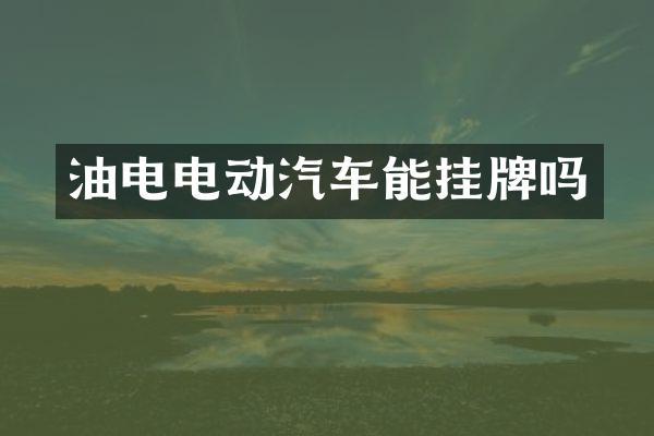 油电电动汽车能挂牌吗