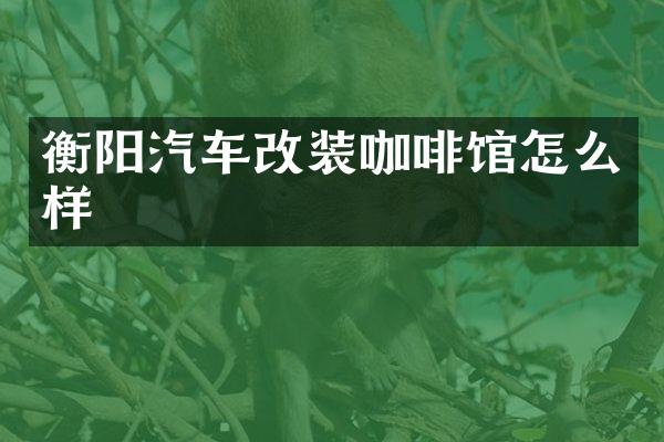 衡阳汽车改装咖啡馆怎么样