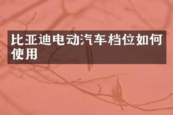 比亚迪电动汽车档位如何使用