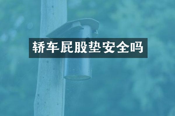 轿车屁股垫安全吗