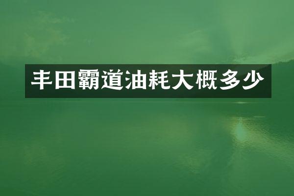 丰田霸道油耗大概多少