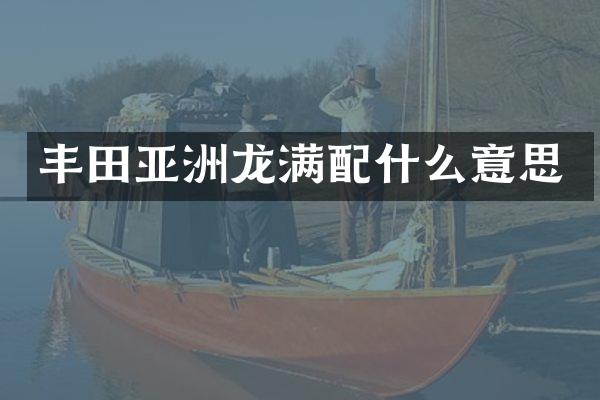 丰田亚洲龙满意思
