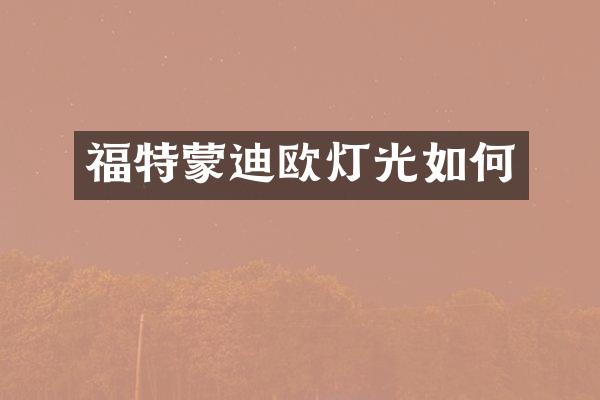 福特蒙迪欧灯光如何