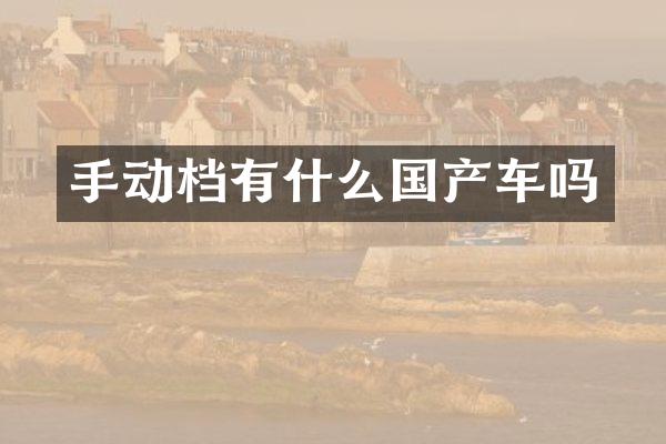手动档有什么国产车吗