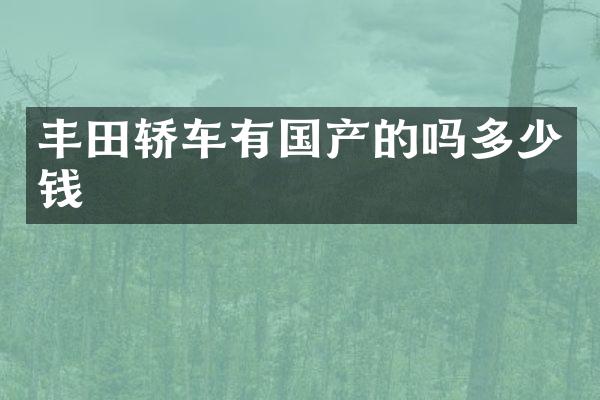 丰田轿车有国产的吗多少钱
