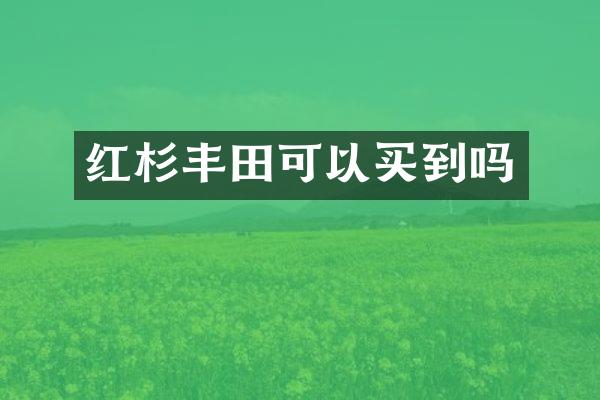 红杉丰以买到吗