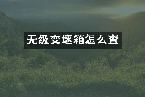 无级变速箱怎么查