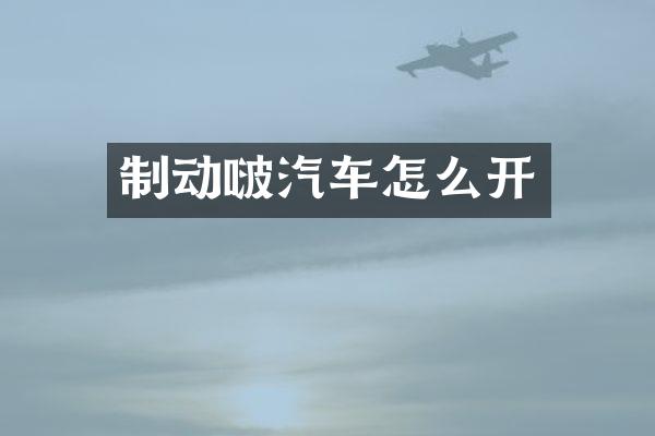 制动啵汽车怎么开