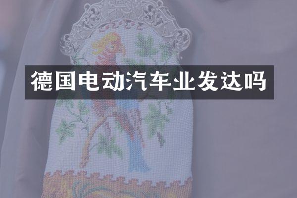 德国电动汽车业发达吗