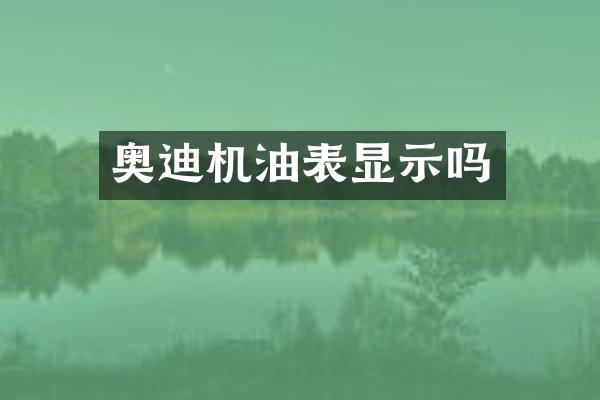 奥迪机油表显示吗