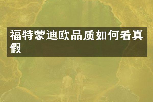 福特蒙迪欧品质如何看真假