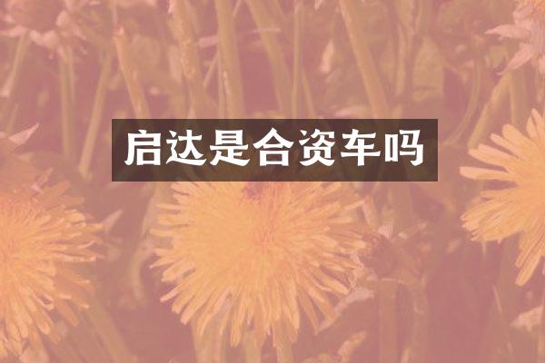 启达是合资车吗