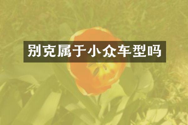 别克属于小众车型吗