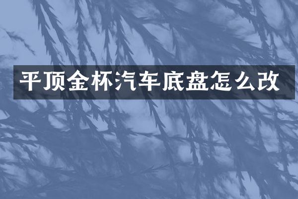 平顶金杯汽车底盘怎么改