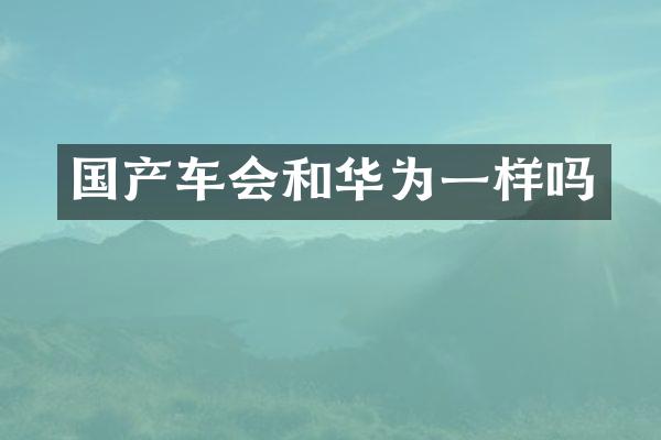 国产车会和华为一样吗