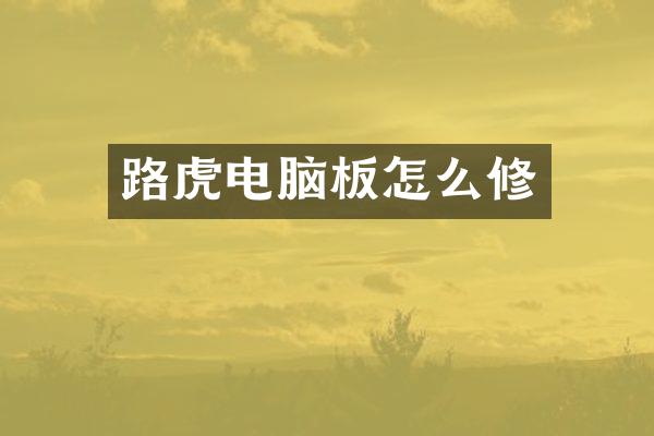 路虎电脑板怎么修