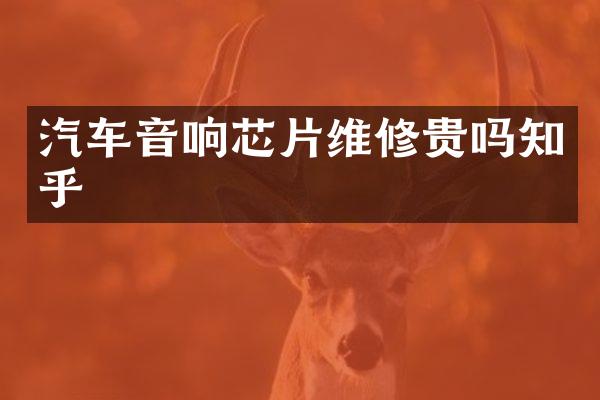 汽车音响芯片维修贵吗知乎