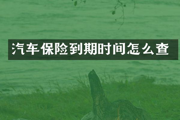 汽车保险到期时间怎么查