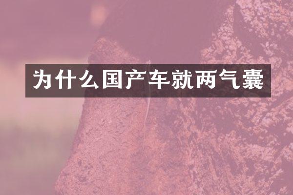 为什么国产车就两气囊