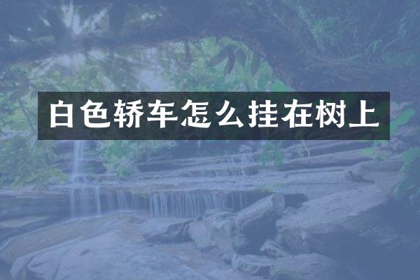 白色轿车怎么挂在树上