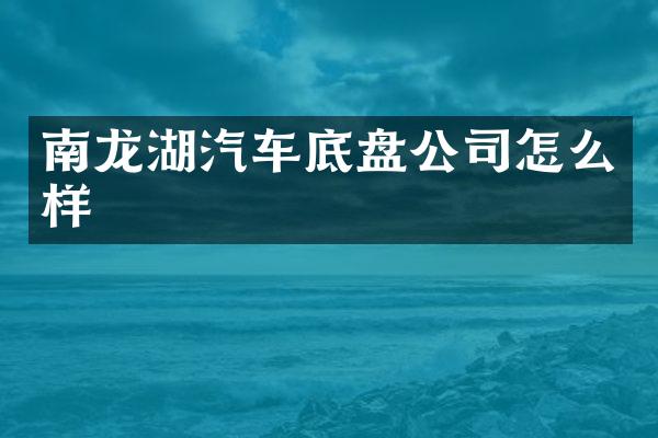 南龙湖汽车底盘公司怎么样