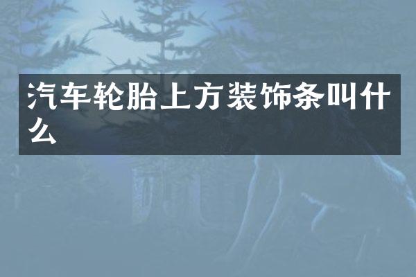 汽车轮胎上方装饰条叫什么