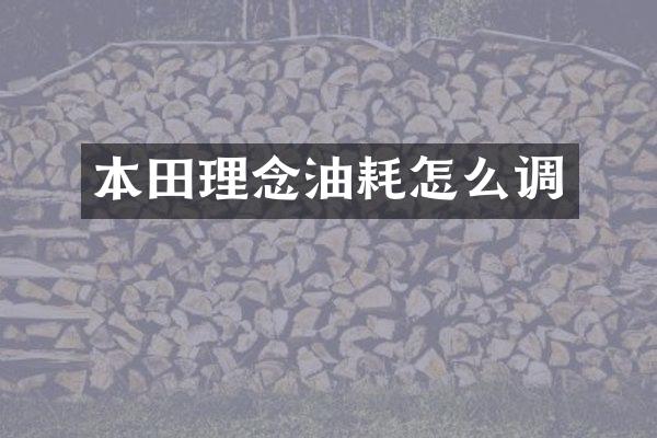 本田理念油耗怎么调