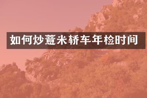 如何炒薏米轿车年检时间