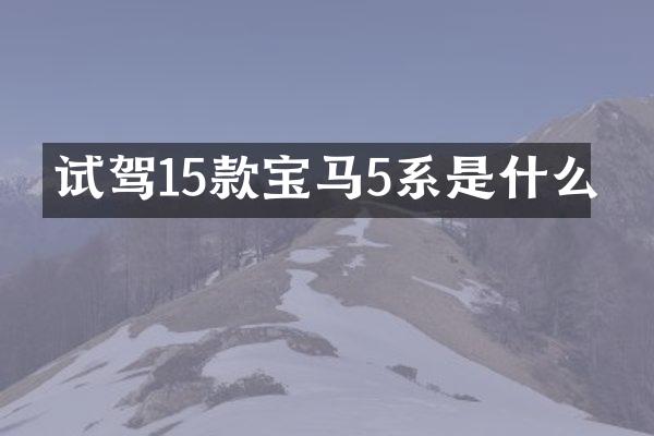 试驾15款宝马5系是什么