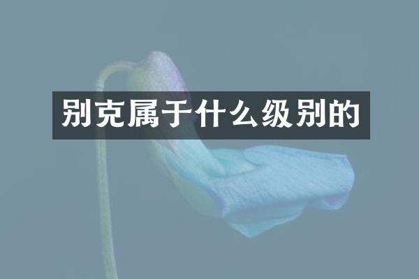 别克属于什么级别的