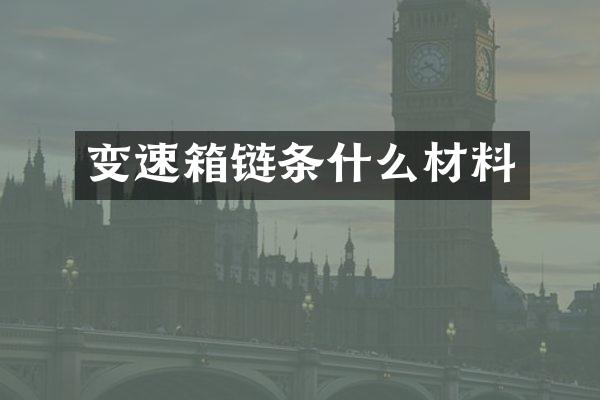 变速箱链条什么材料