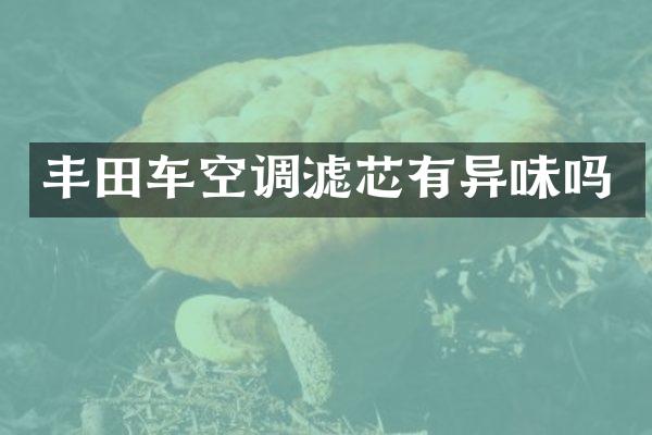 丰田车空调滤芯有异味吗
