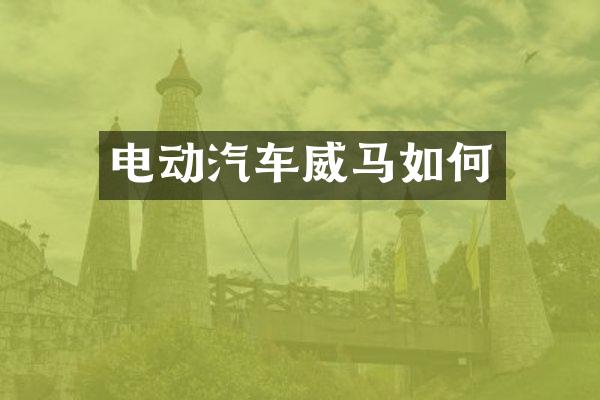电动汽车威马如何