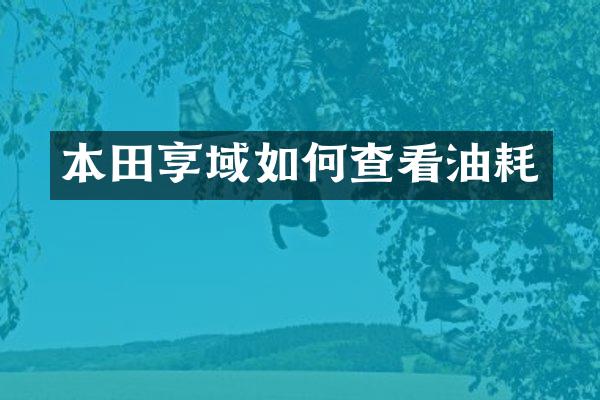 本田享域如何查看油耗